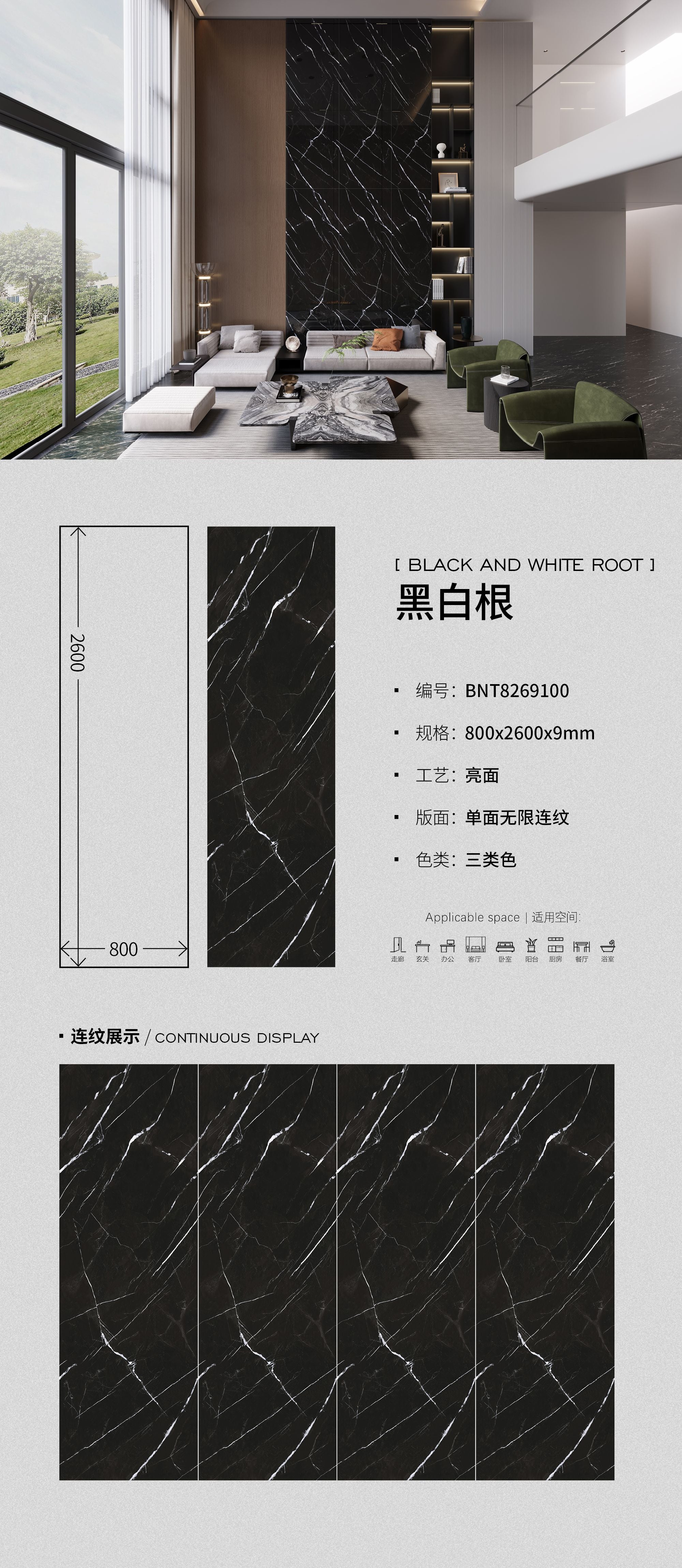 BLACK AND WHITE ROOT
