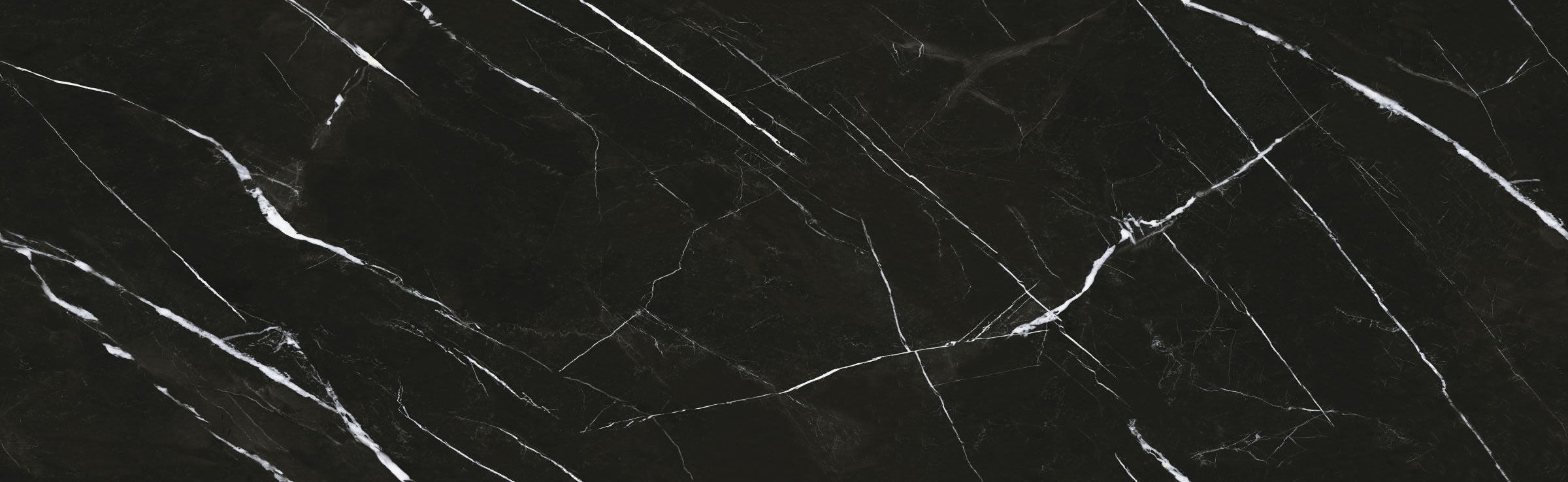BLACK AND WHITE ROOT