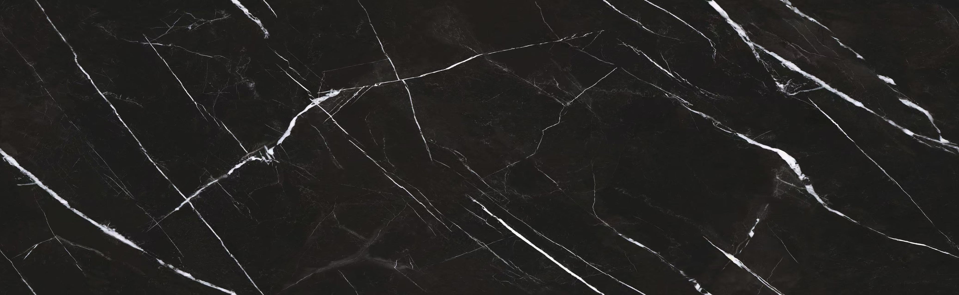 BLACK AND WHITE ROOT