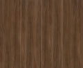 ITALIAN WALNUT