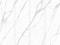 Top-grade fish maw white