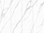 Top-grade fish maw white