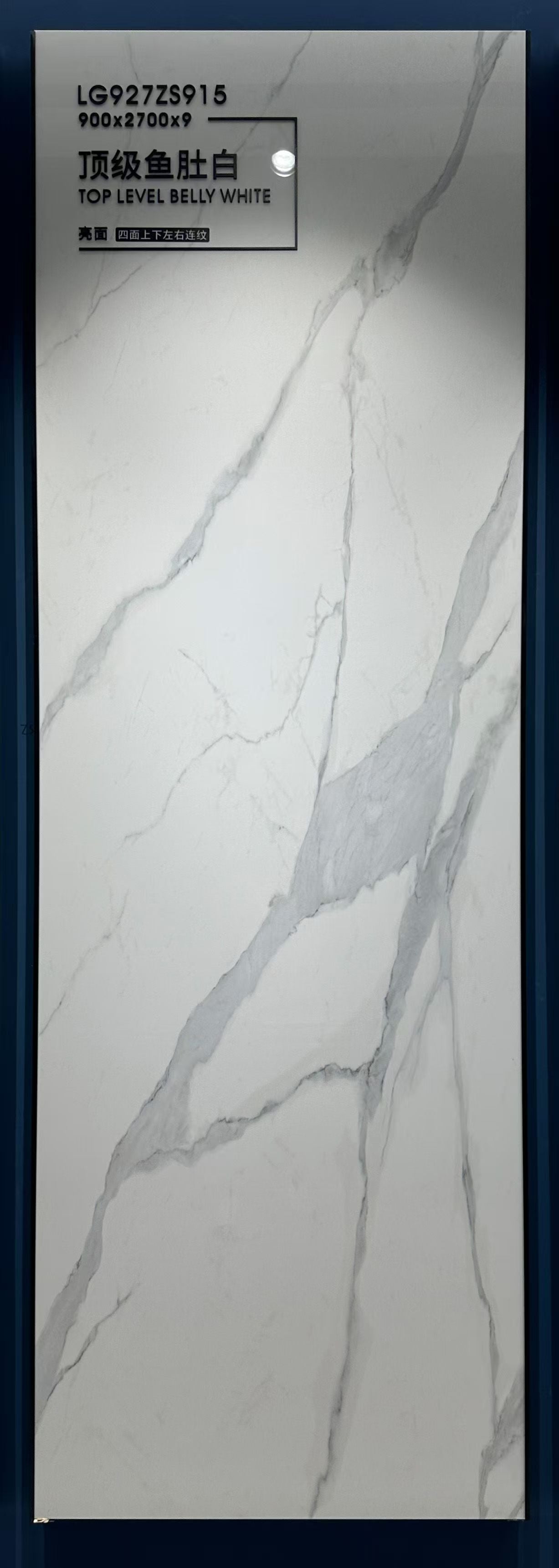 Top-grade fish maw white