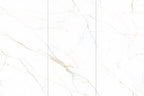 Golden Silk White Snow